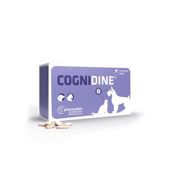 COGNIDINE 60 COMPRIMIDOS